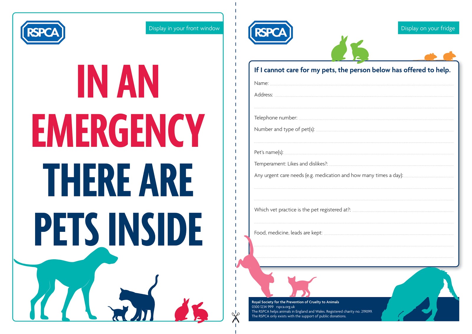 You are currently viewing RSPCA urges owners to make a pet care plan