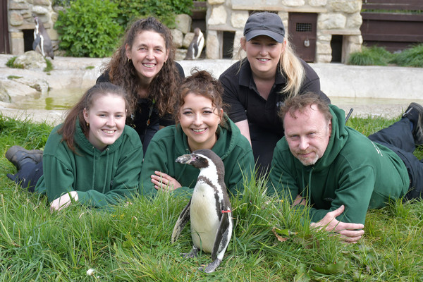 Read more about the article Sad news from the Sewerby Hall zoo
